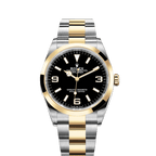 Explorer, 18k Yellow Gold and Stainless steel, 36mm, Ref# 124273-0001, 2024