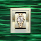 Day-Date 40, 18k Yellow Gold with Diamond-set, 40mm, Ref# 228348rbr-0042