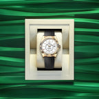 Sky-Dweller, 42mm, 18k Yellow Gold, Ref# 336238-0003