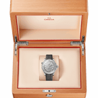 Unworn, Seamaster Diver 300m, Stainless Steel, 42mm, Ref# 210.32.42.20.06.002, box and papers
