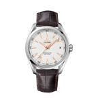 Pre-owned Seamaster Aqua Terra 150m 41.5mm 231.13.42.21.02.003 Complete, 2019