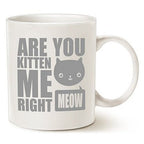 MAUAG Funny Cat Coffee Mugs, Fun Are You Kitten Me Right Meow Best