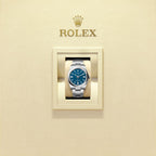Unworn 2025, Oyster Perpetual, Oystersteel 41mm, Blue dial, Domed Oyster, Ref# 134300-0009, box and papers