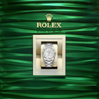 Datejust 36, Stainless Steel and 18k White Gold, 36mm, Ref# 126234-0020