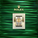 Datejust 41, 18k Yellow Gold and Stainless Steel, 41mm, Ref# 126333-0010