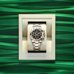Cosmograph Daytona 40mm, Oystersteel and 18k Yellow Gold, Ref# 126503-0003
