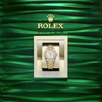 Lady-Datejust 28, 18kt Yellow Gold and diamonds, Ref# 279138RBR-0031