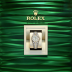 Lady-Datejust 28, Oystersteel and 18k Yellow Gold, Ref# 279173-0013