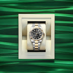 Sky-Dweller, 42mm, Oystersteel and 18k Yellow Gold, Black, Oyster, Ref# 336933-0003