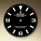 Explorer, 18k Yellow Gold and Stainless steel, 36mm, Ref# 124273-0001, 2024