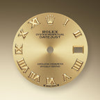 Lady-Datejust 28, 18k Yellow Gold, Ref# 279178-0022