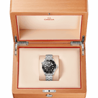 Seamaster DIVER 300M CO‑AXIAL MASTER CHRONOMETER Ref# 210.30.42.20.01.001