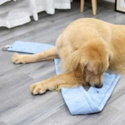 Alternative view of New dog smell with dog training supplies