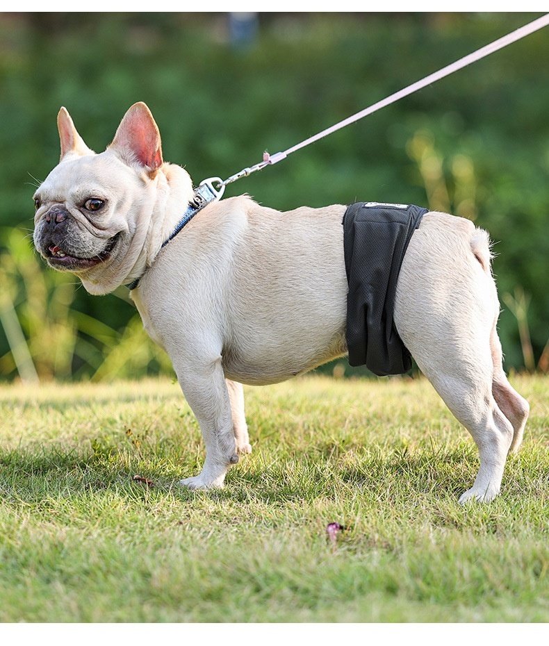 Sterilization Menstrual Panties Anti-harassment Male Dog Diaper Pants Bellyband - Image 7