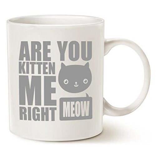 MAUAG Funny Cat Coffee Mugs, Fun Are You Kitten Me Right Meow Best by Mauag