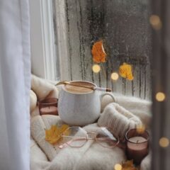 Porcelain & Bone China